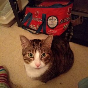 Meet your Posher, Marcus